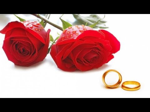 ?? ????? ?????? ???? ???